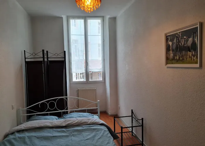La Belle Epoque, Grand Appartement En Centre-Ville